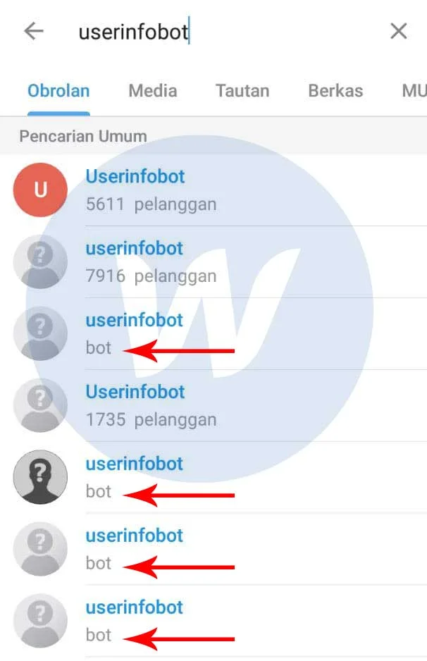 userinfobot telegram