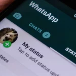 Cara Download Status WhatsApp Orang Lain Tanpa Aplikasi
